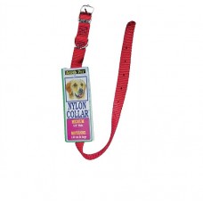 Nylon Dog Collar Medium Red 14"
